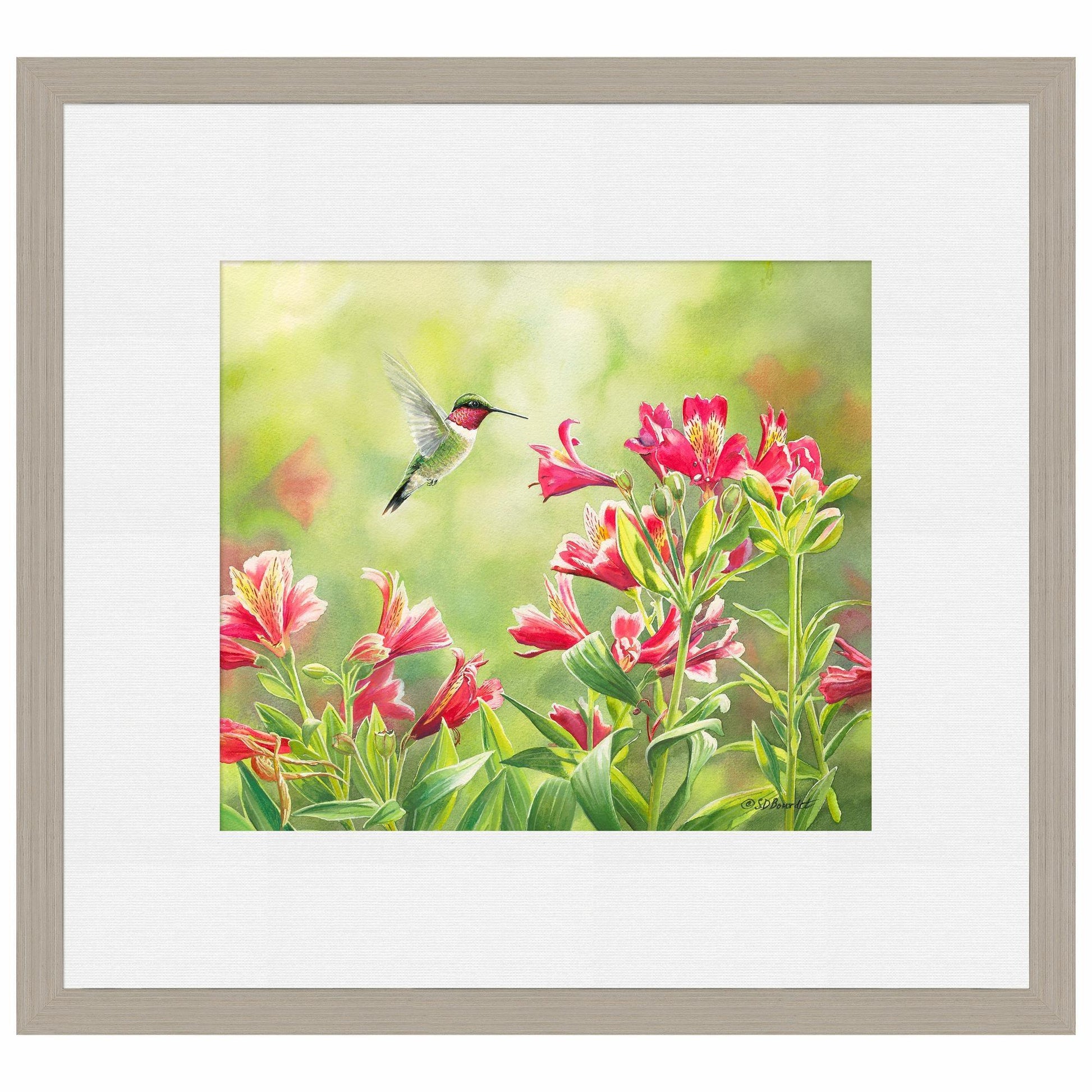 Ruby Throat & Freesias Paper Print - Wild Wings