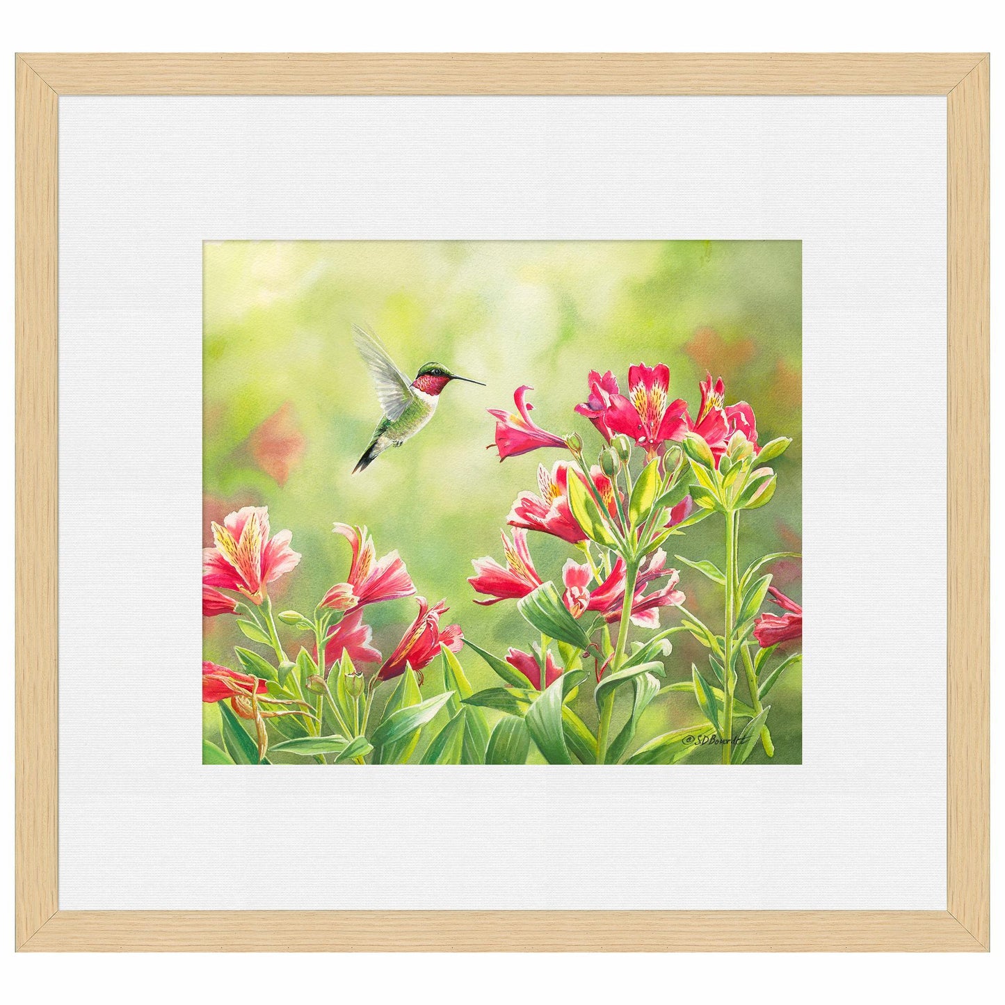 Ruby Throat & Freesias Paper Print - Wild Wings
