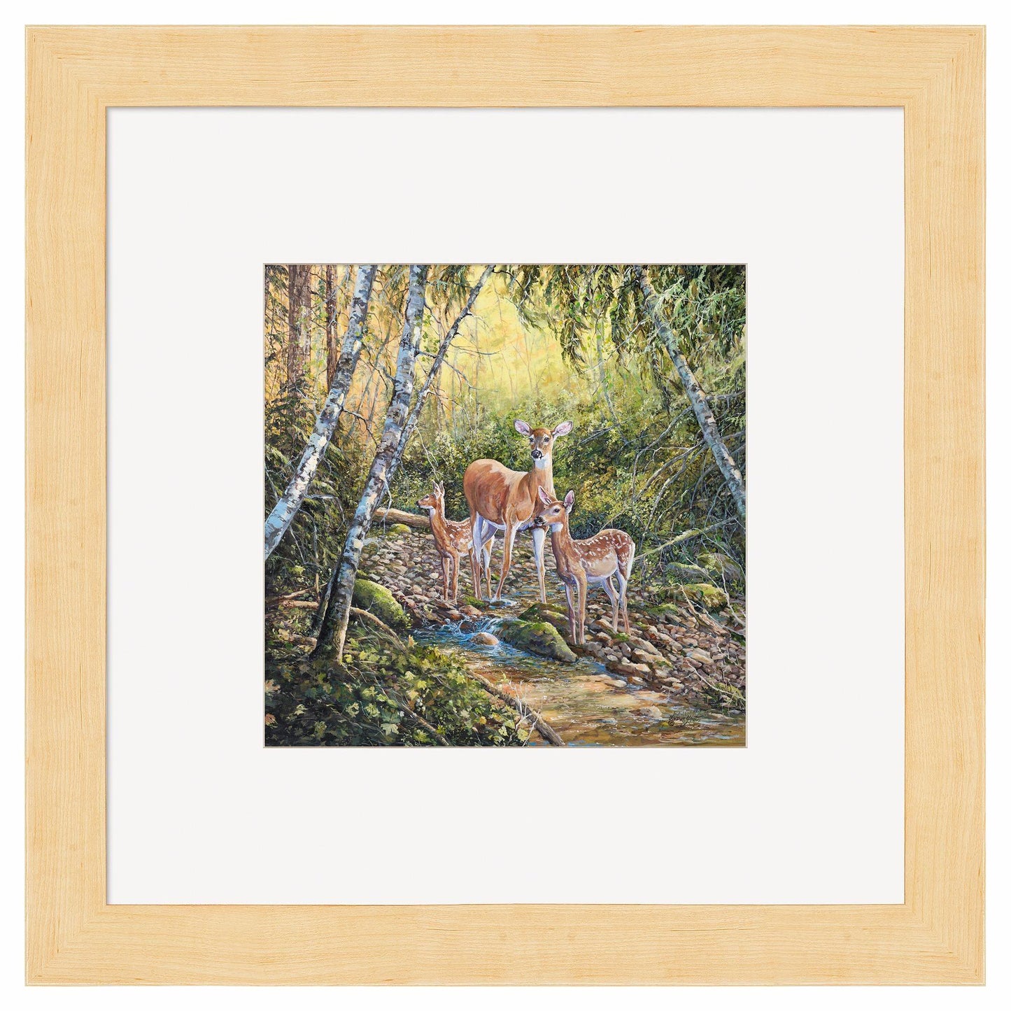 Serenity Contempo Square Art Collection - Wild Wings