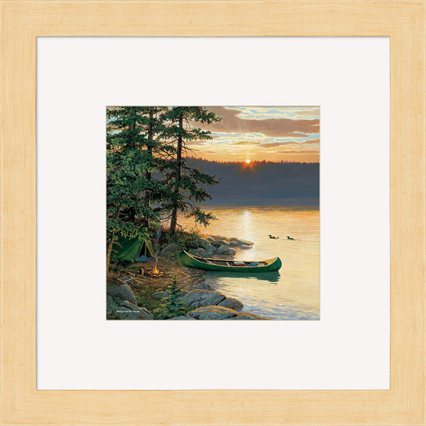 Summer Sunrise Contempo Square - Wild Wings
