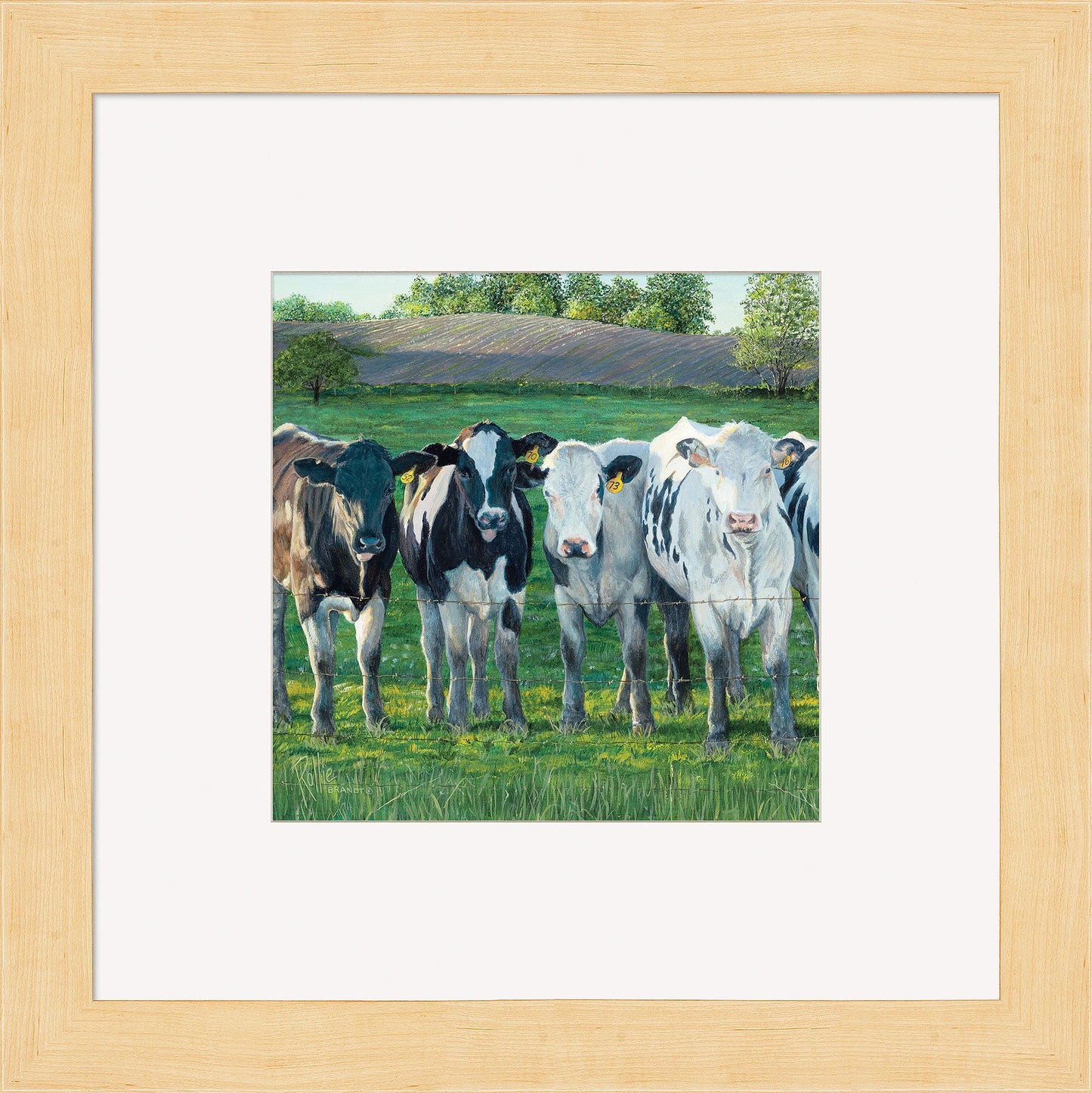 The Evening Moos Framed Print - Wild Wings
