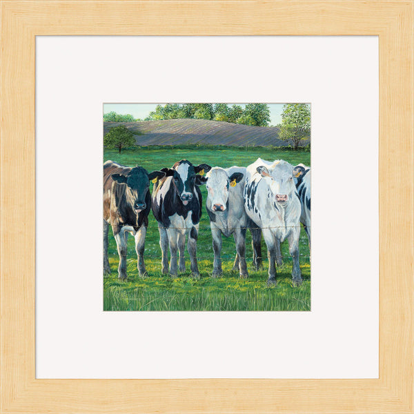 The Evening Moos Framed Print - Wild Wings