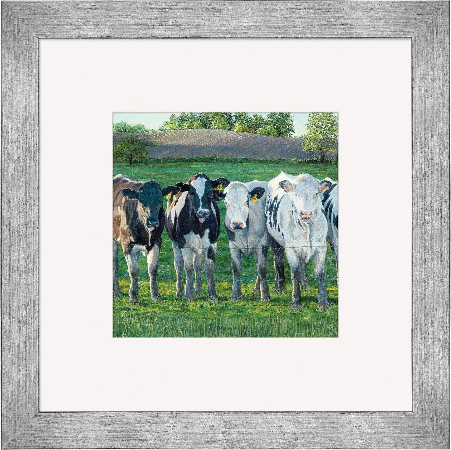 The Evening Moos Framed Print - Wild Wings