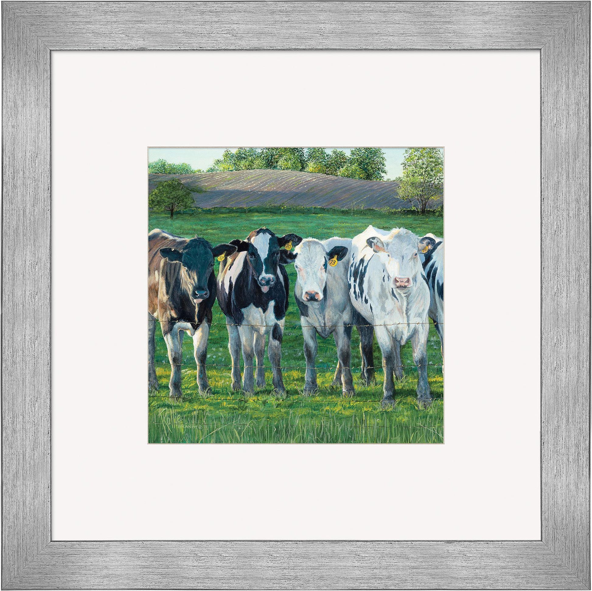 The Evening Moos Framed Print - Wild Wings