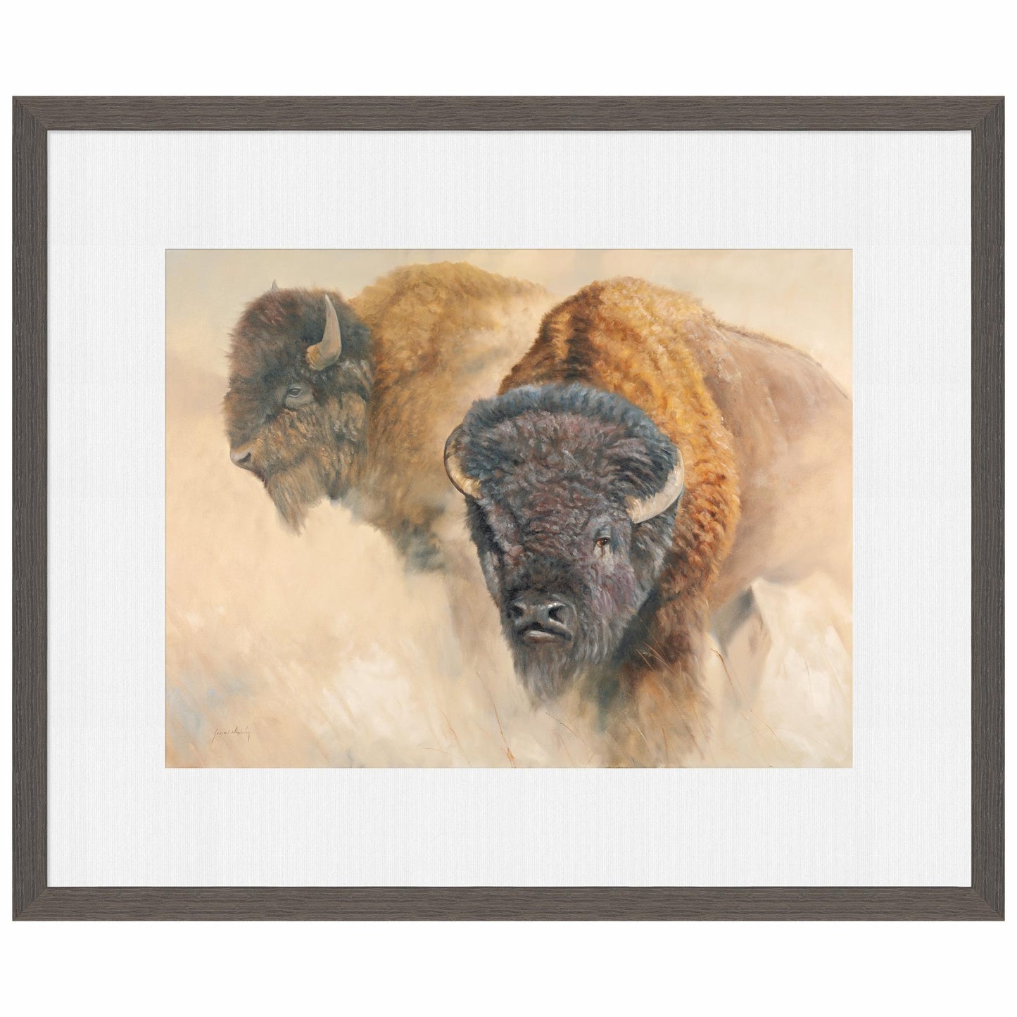 When the Dust Settles-Bison Limited Edition Paper Print - Wild Wings