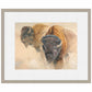 When the Dust Settles-Bison Limited Edition Paper Print - Wild Wings