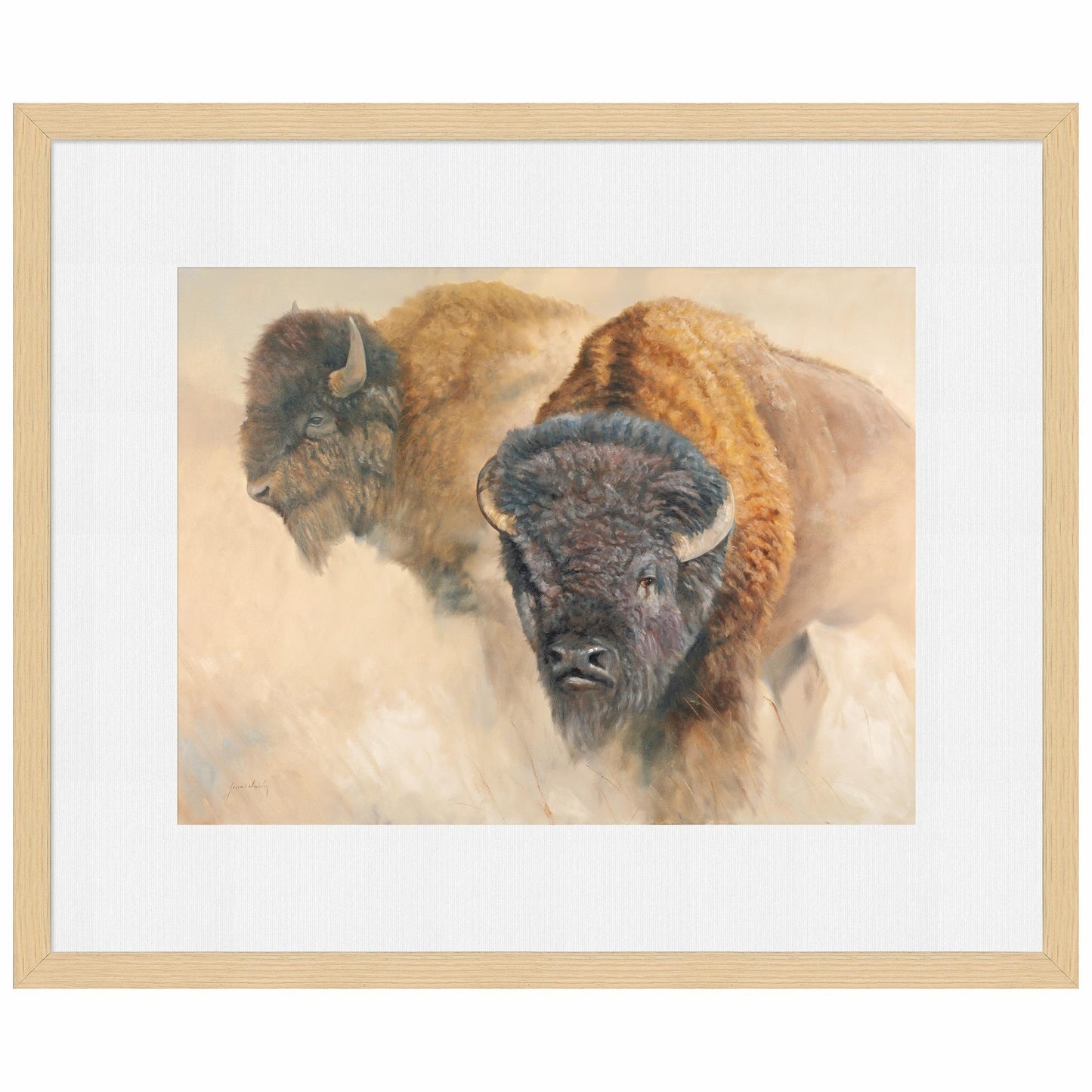 When the Dust Settles-Bison Limited Edition Paper Print - Wild Wings