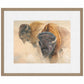 When the Dust Settles-Bison Limited Edition Paper Print - Wild Wings