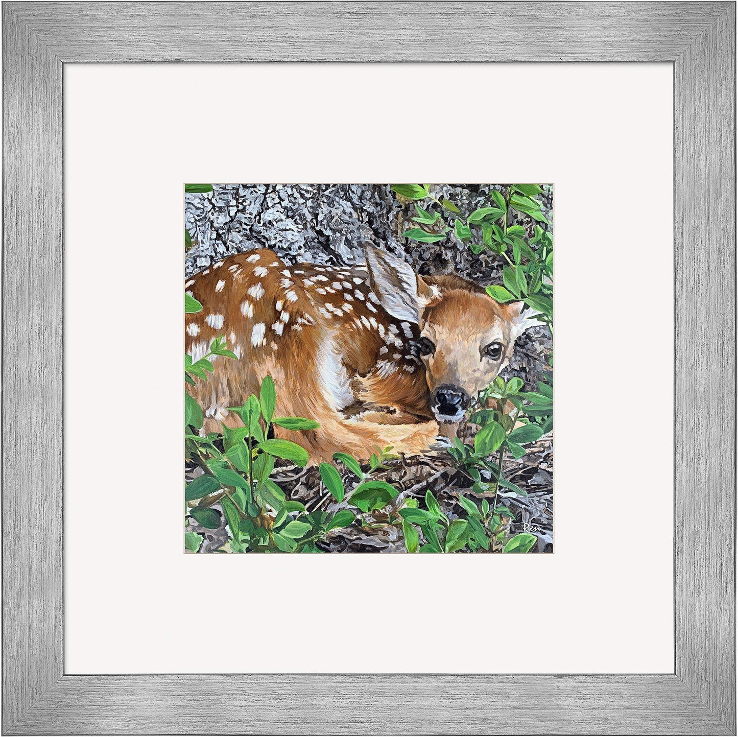 Woodland Wonder—Fawn Contempo Square - Wild Wings