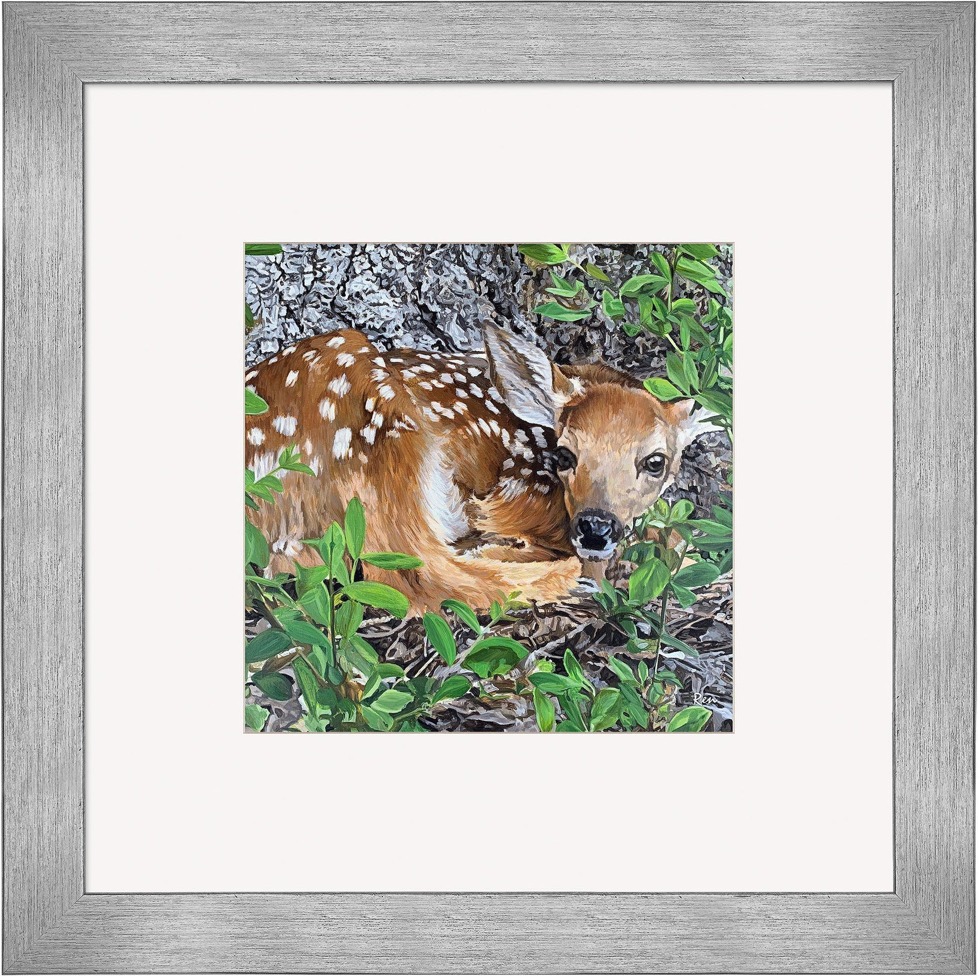 Woodland Wonder—Fawn Contempo Square - Wild Wings
