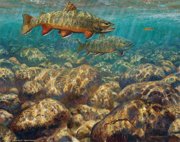 First to the Fly—Brook Trout Art Print - Wild Wings