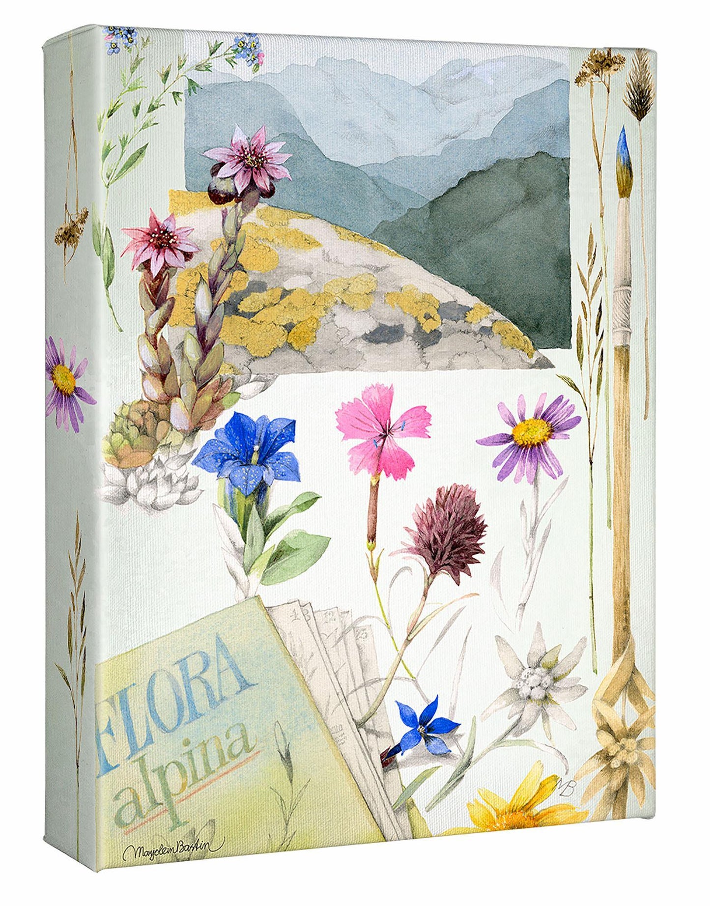 Flora Alpina Gallery Wrapped Canvas - Wild Wings