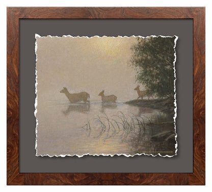 Fog Effect—Whitetail Deer Deckled Edge Paper Print - Wild Wings