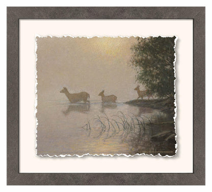 Fog Effect—Whitetail Deer Deckled Edge Paper Print - Wild Wings