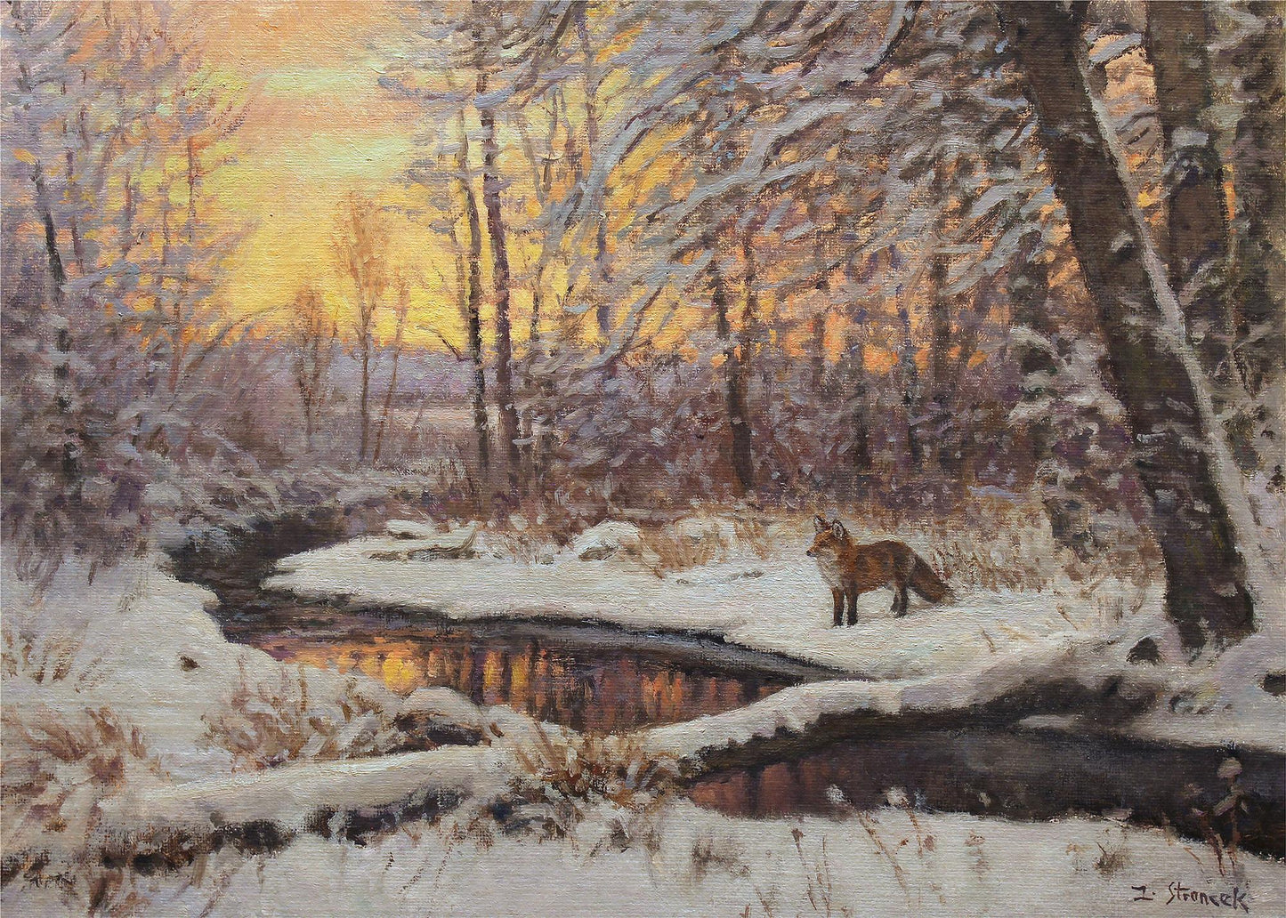 Fox at Evening—Bridger Creek Limited Edition Paper Print - Wild Wings
