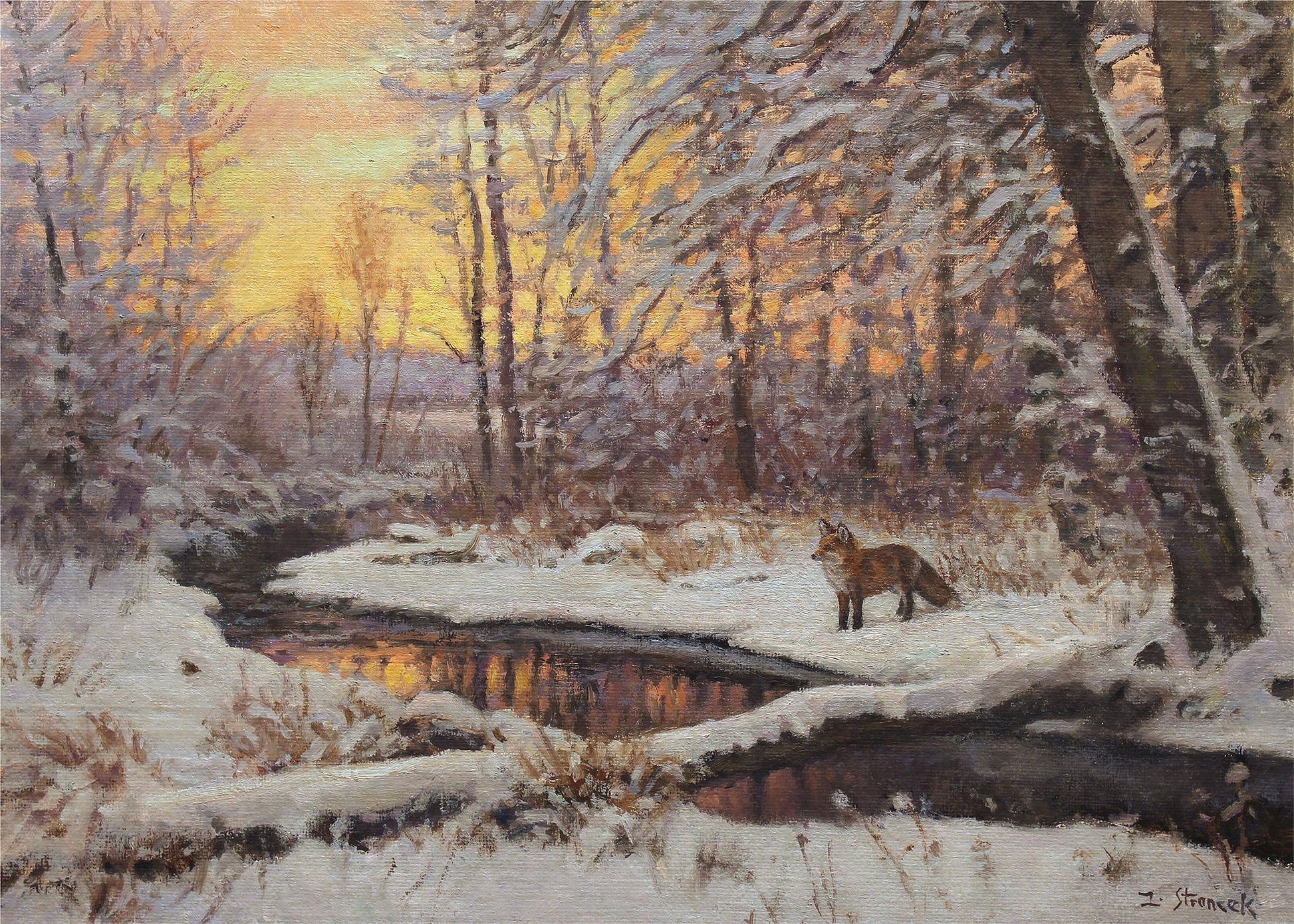 Fox at Evening—Bridger Creek Limited Edition Paper Print - Wild Wings