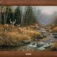 October Mist—Whitetail Deer Framed Gallery Canvas - Wild Wings