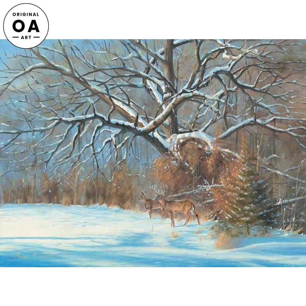 Gnarly—Whitetail Deer Original Oil Painting - Wild Wings