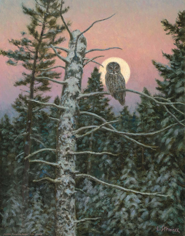 Great Gray Hunter Art Print - Wild Wings
