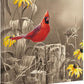 Greeting the New Day—Cardinal Gallery Wrapped Canvas - Wild Wings