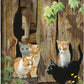 Hole in the Wall Gang—Kittens Gallery Wrapped Canvas - Wild Wings