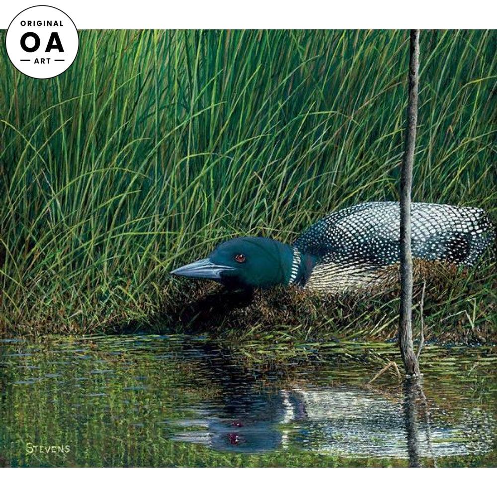 Keeping Watch—Loon Original Oil Painting - Wild Wings