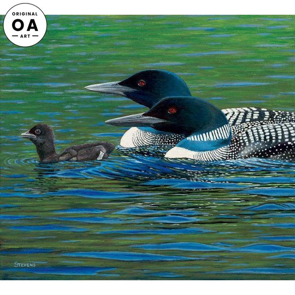 Let's Get Going—Loons Original Oil Painting - Wild Wings
