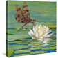 Lily and Lace—Dragonfly Gallery Wrapped Canvas - Wild Wings