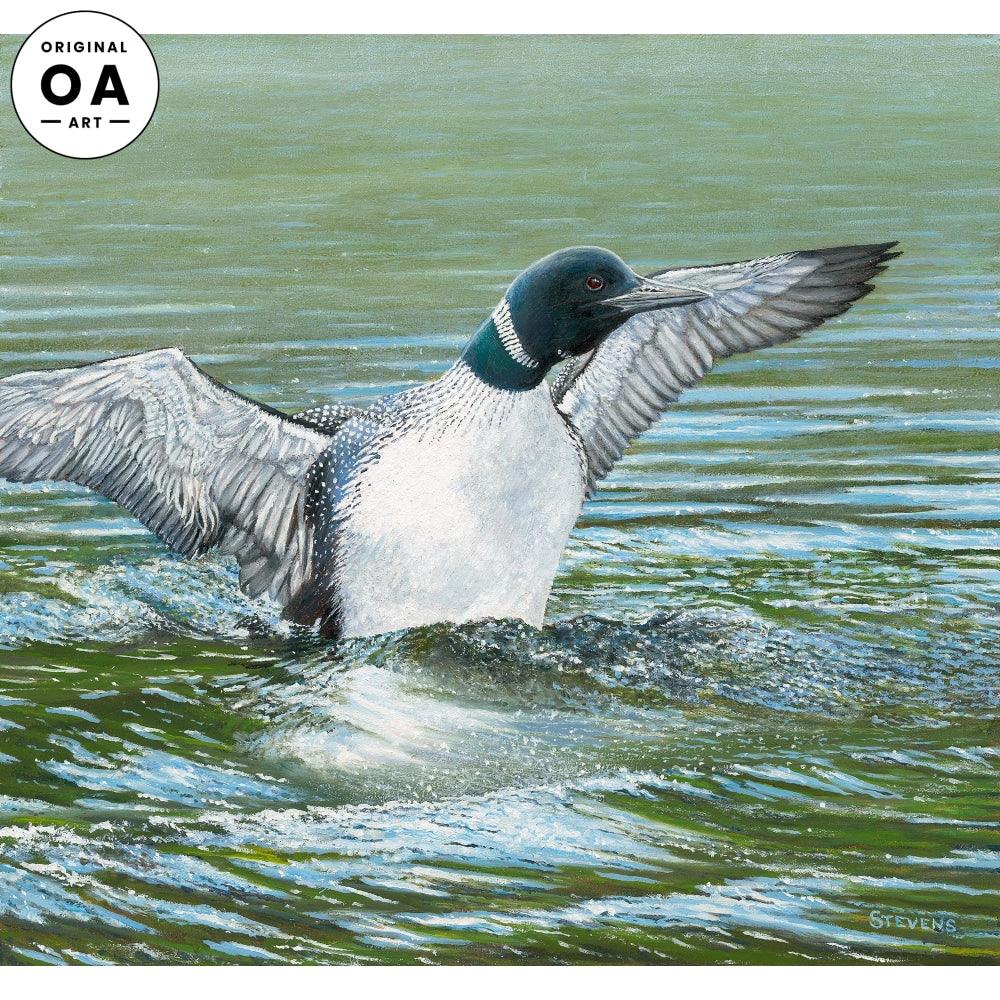 Look At Me! Look At Me!—Loon Original Oil Painting - Wild Wings