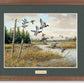 Hidden Pond—Mallards GNA Premium Framed Print - Wild Wings
