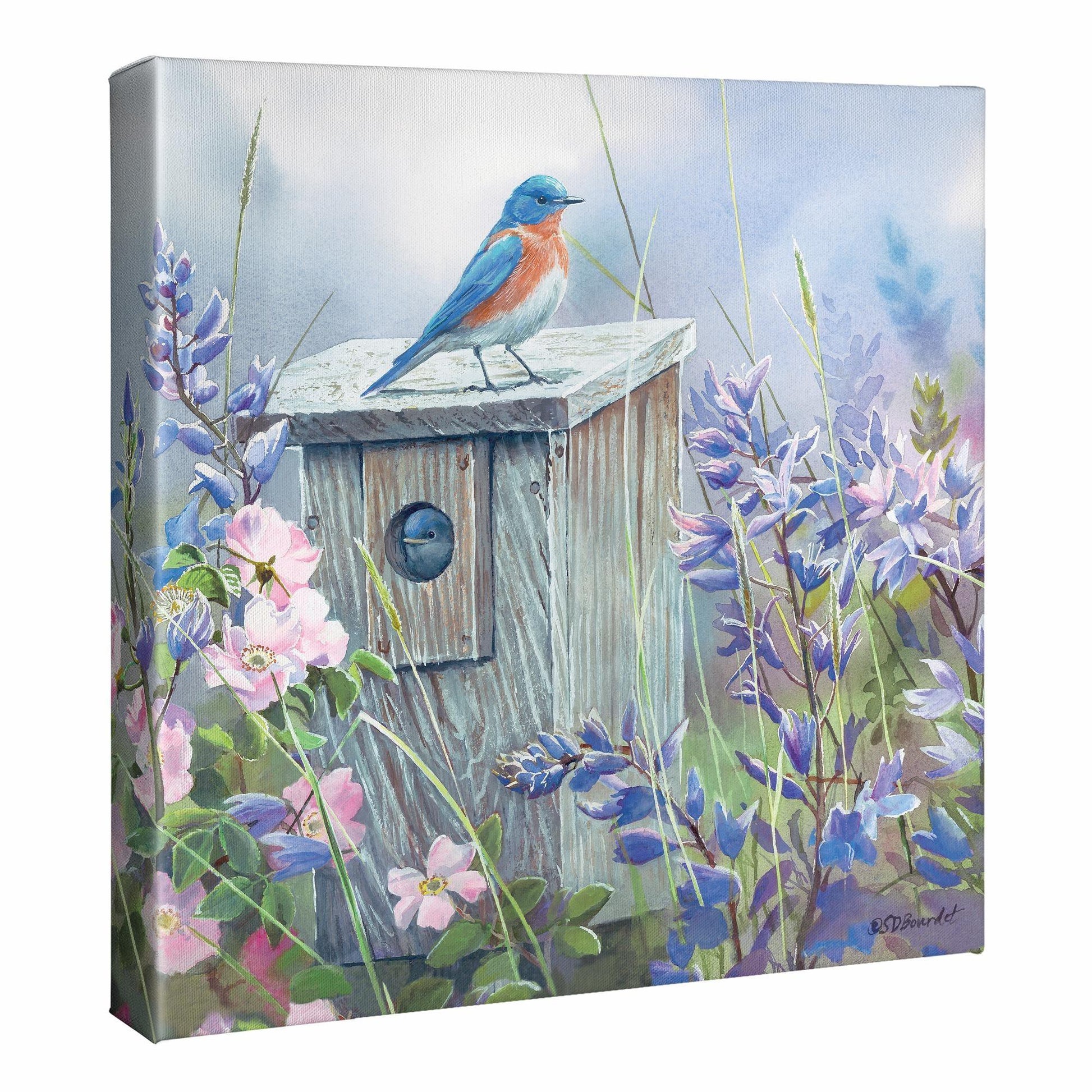 Meadow View - Eastern Bluebird Gallery Wrapped Canvas - Wild Wings