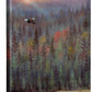 Misty ForestBald Eagle Gallery Wrapped Canvas - Wild Wings
