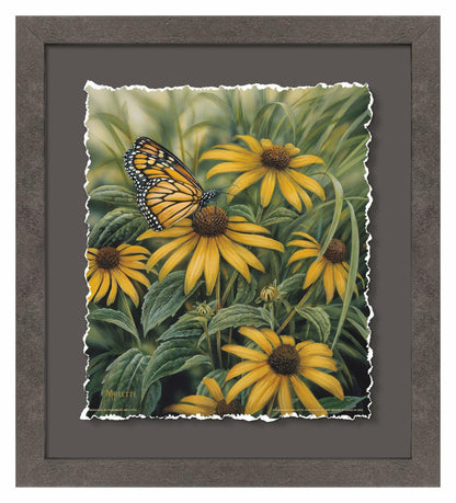 Monarch Butterfly Deckled Edge Paper Print - Wild Wings