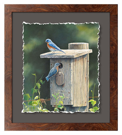 New Beginnings—Bluebirds Deckled Edge Paper Print - Wild Wings