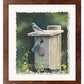 New Beginnings—Bluebirds Deckled Edge Paper Print - Wild Wings