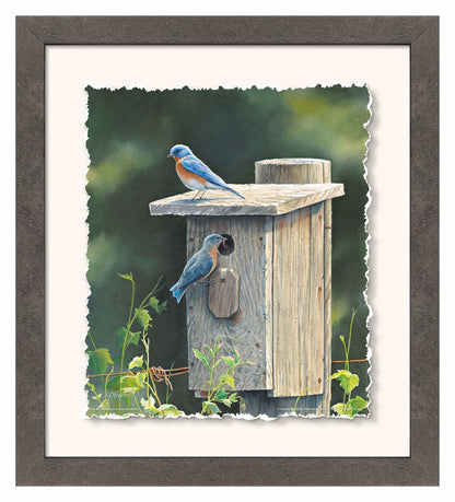 New Beginnings—Bluebirds Deckled Edge Paper Print - Wild Wings