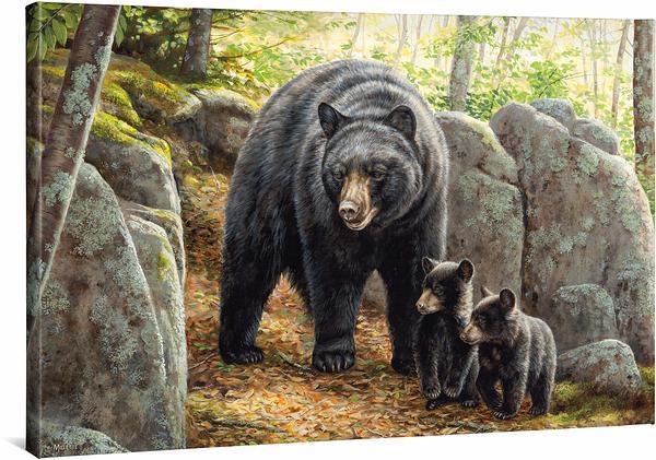 Northwoods Springtime—Black Bear Gallery Wrapped Canvas - Wild Wings