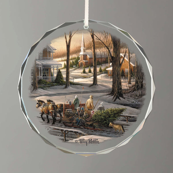Homeward Bound Round Glass Ornament - Wild Wings