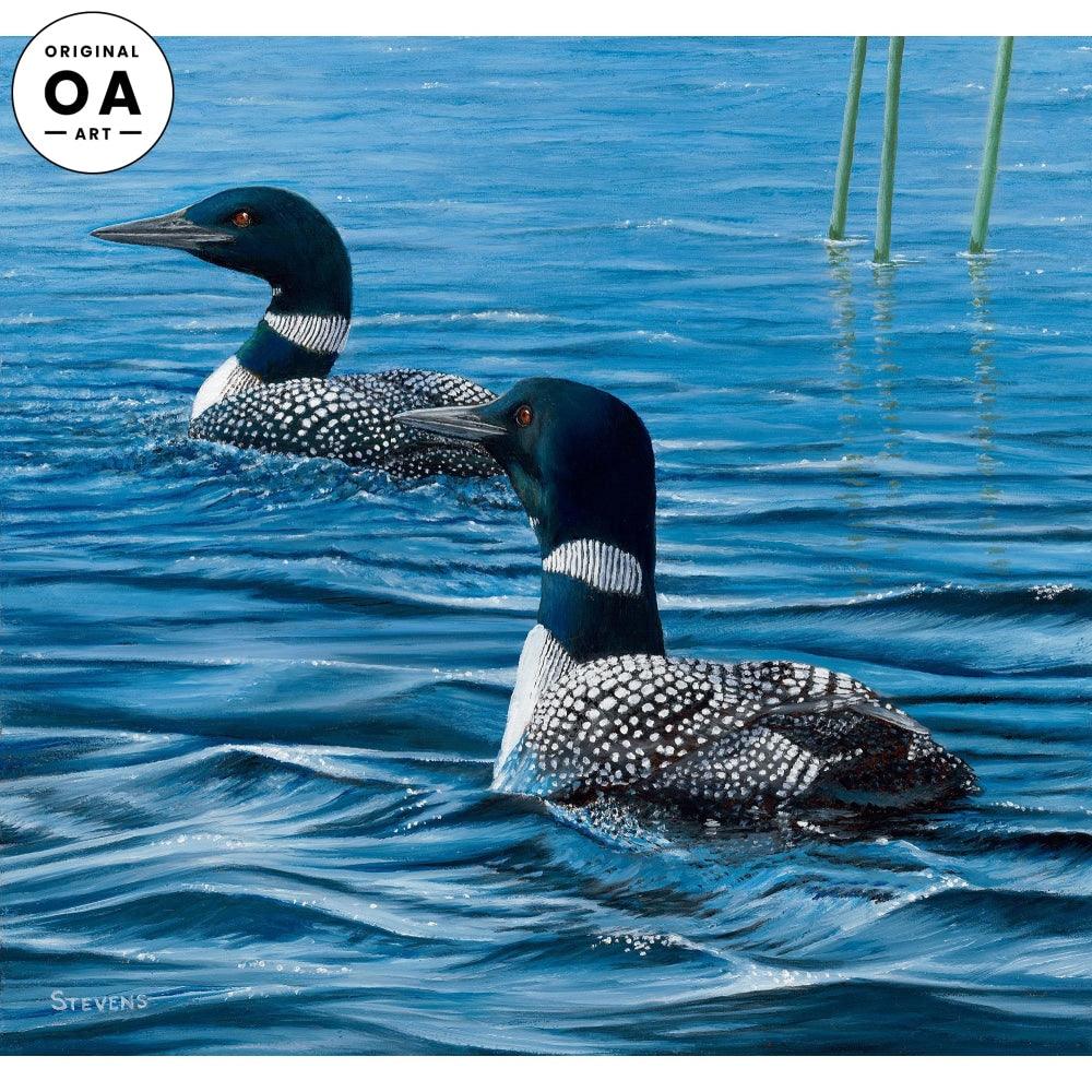 Paddling Out—Loons Original Oil Painting - Wild Wings