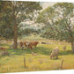 Pastoral—Cows Gallery Wrapped Canvas - Wild Wings