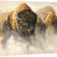 Phantoms of the Plains—Bison Gallery Wrapped Canvas - Wild Wings