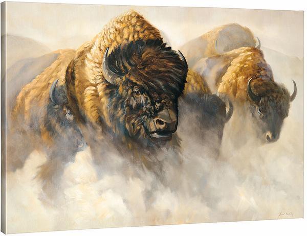 Phantoms of the Plains—Bison Gallery Wrapped Canvas - Wild Wings