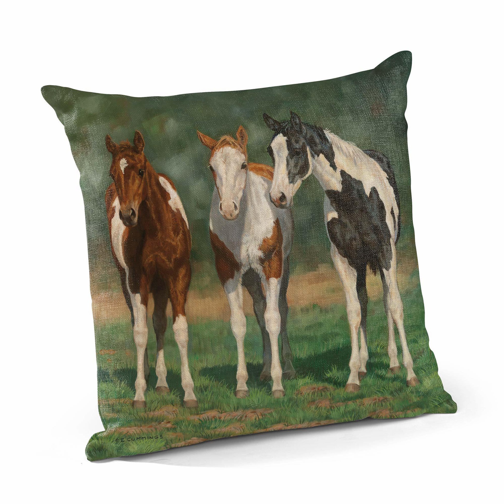 Pint-sized Paints Decorative Pillow - Wild Wings