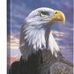 Pride—Bald Eagle Gallery Wrapped Canvas - Wild Wings