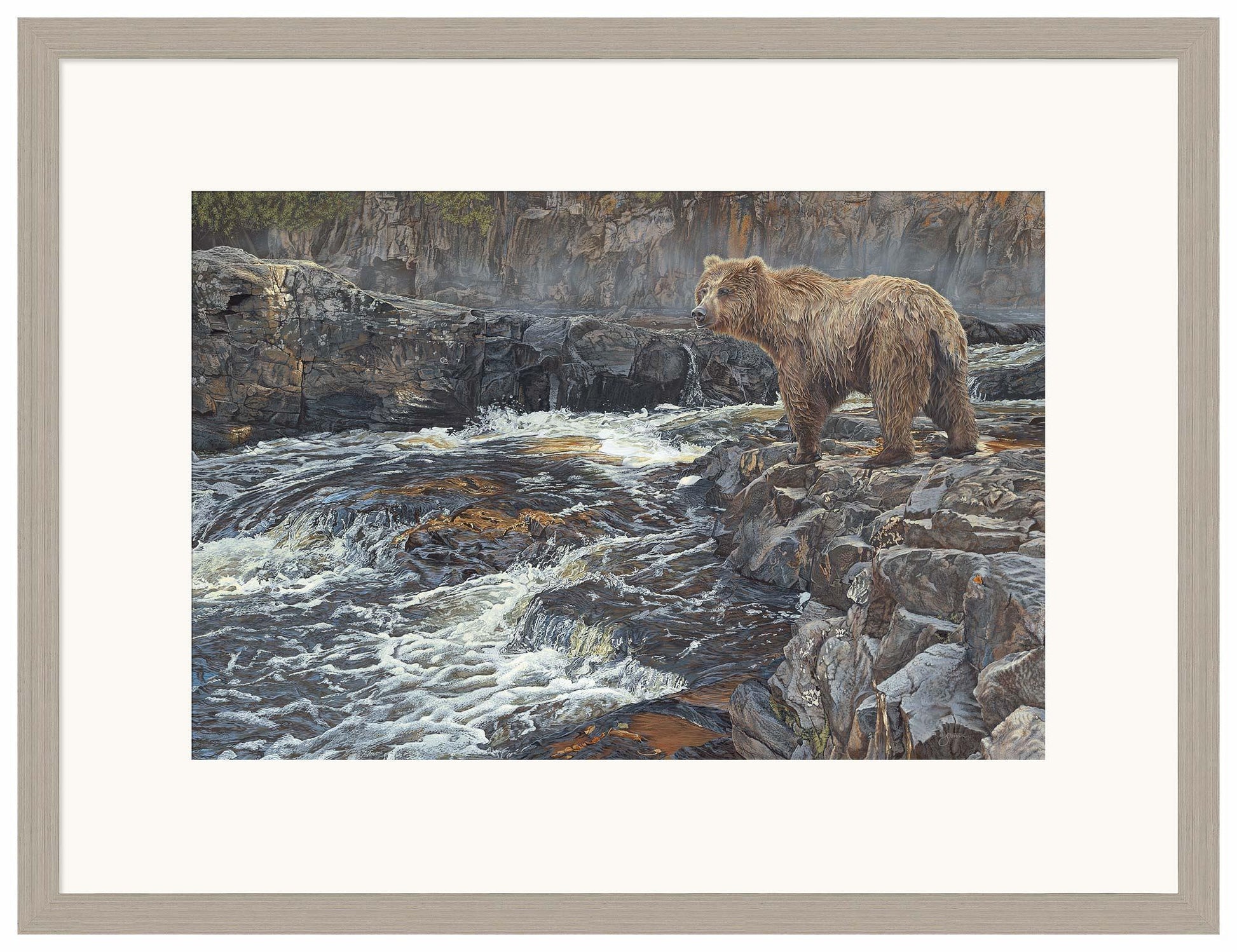 River Hunter—Grizzly Bear Limited Edition Paper Print - Wild Wings