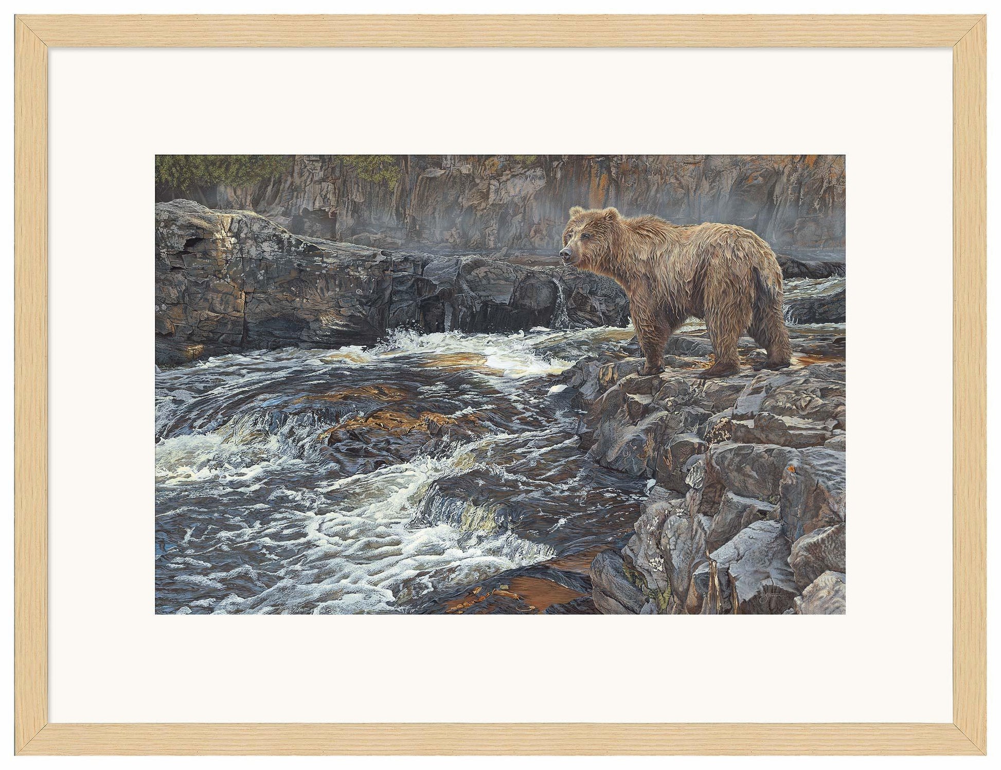 River Hunter—Grizzly Bear Limited Edition Paper Print - Wild Wings