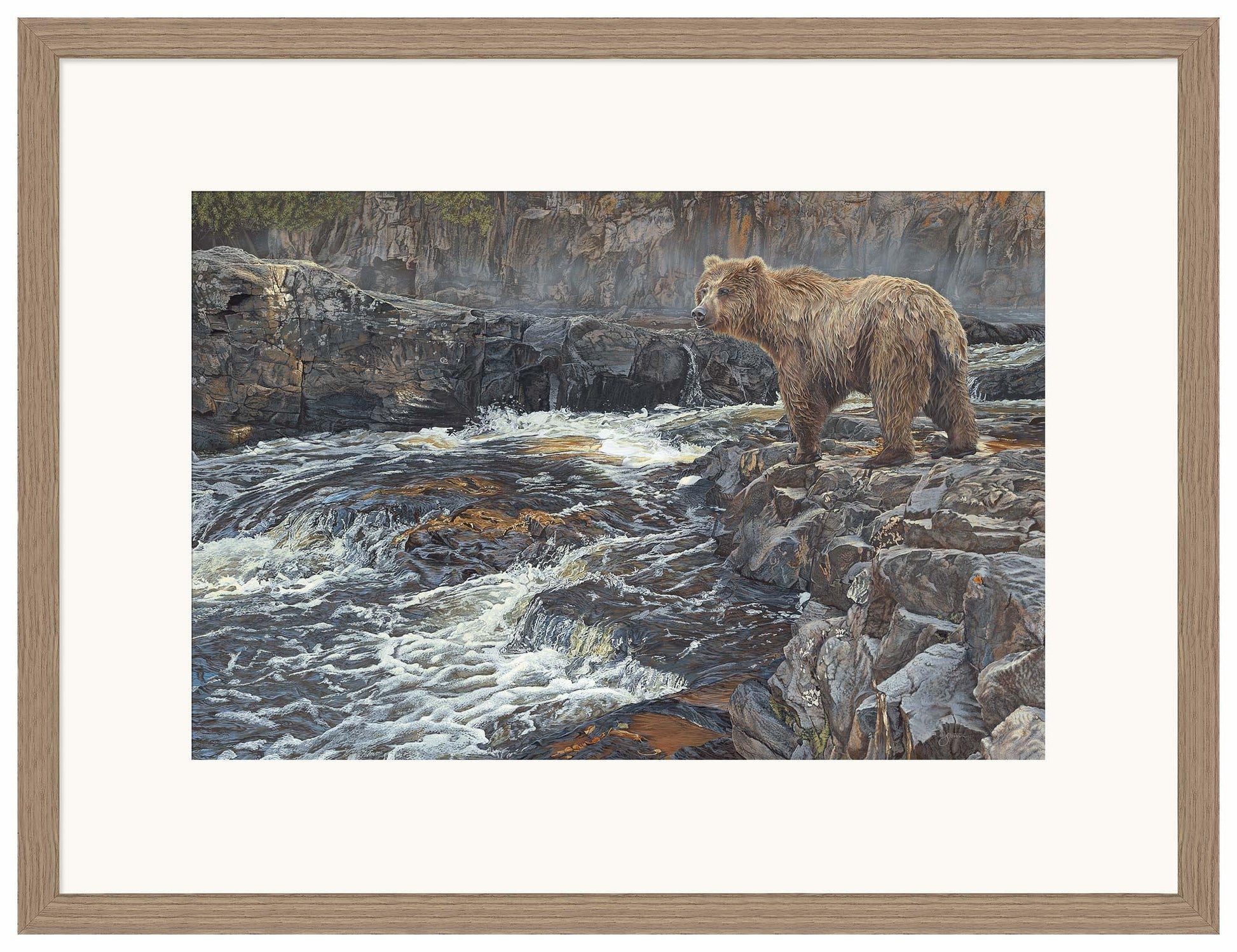 River Hunter—Grizzly Bear Limited Edition Paper Print - Wild Wings