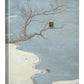 River Watch—Bald Eagle Gallery Wrapped Canvas - Wild Wings