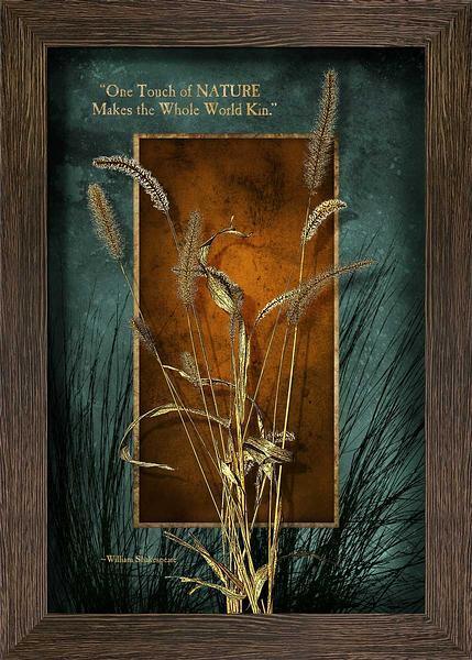 Roadside Beauty—Foxtail Multimedia Wall Art - Wild Wings