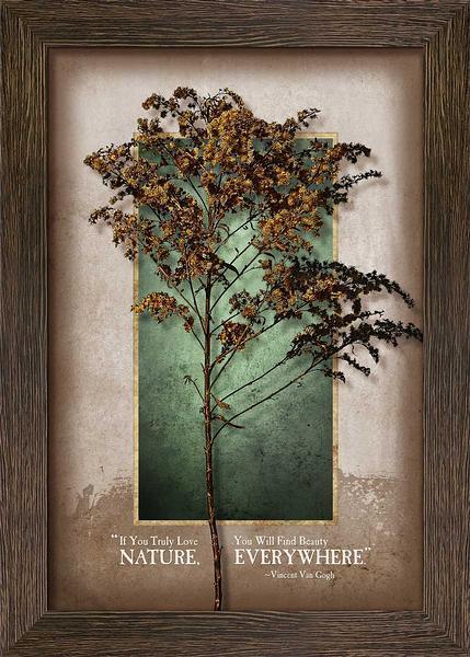 Roadside Beauty—Goldenrod Multimedia Wall Art - Wild Wings